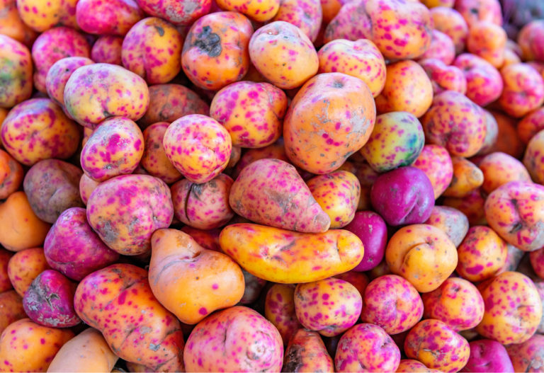 shutterstock_1486092491